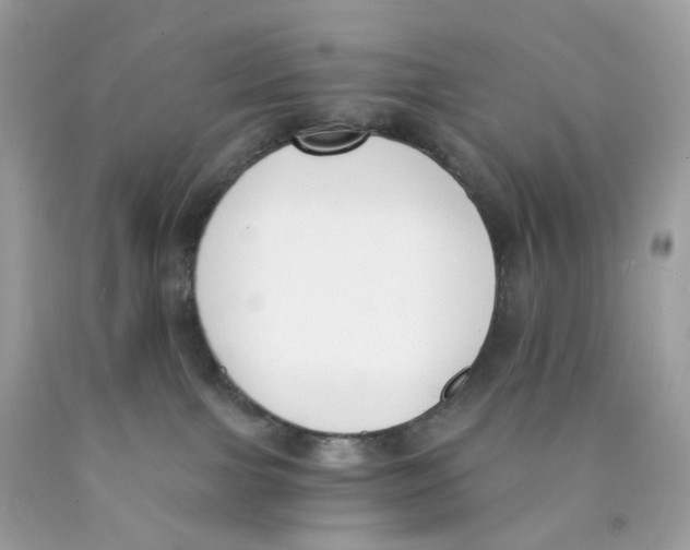 X0000089830091200707262033