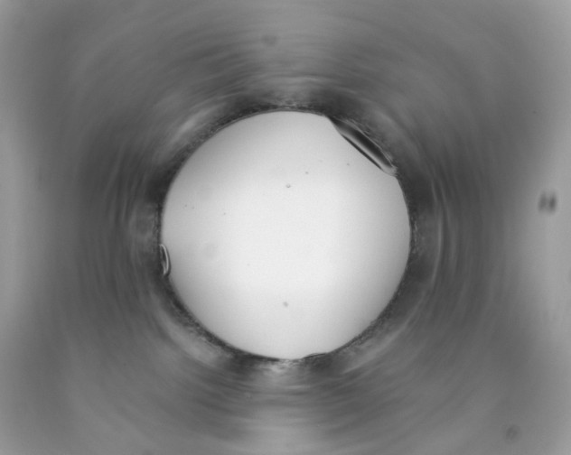 X0000089830092200707262033