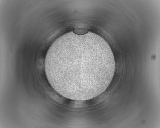 X0000089830093200707262033