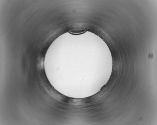 X0000089830095200707262033