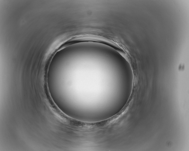 X0000089830101200707262032