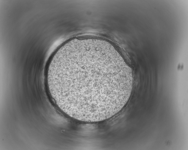 X0000089830102200707262032