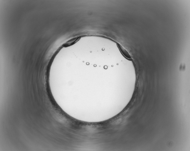 X0000089830103200707262032