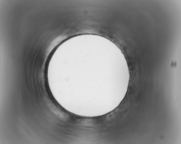 X0000089830104200707262032