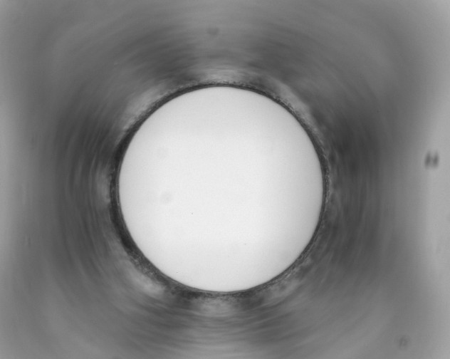 X0000089830106200707262032