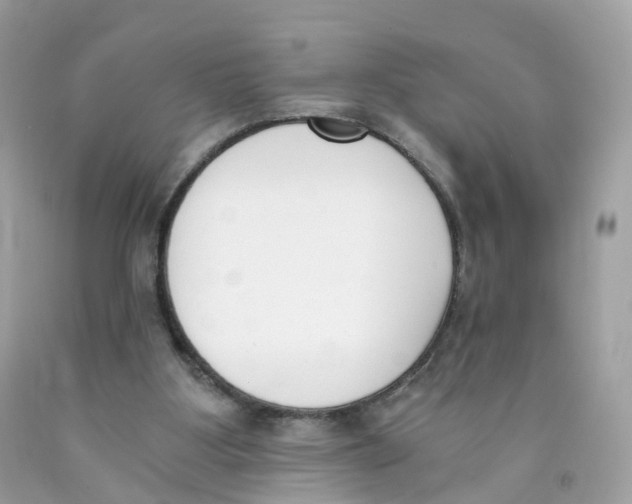 X0000089830107200707262032