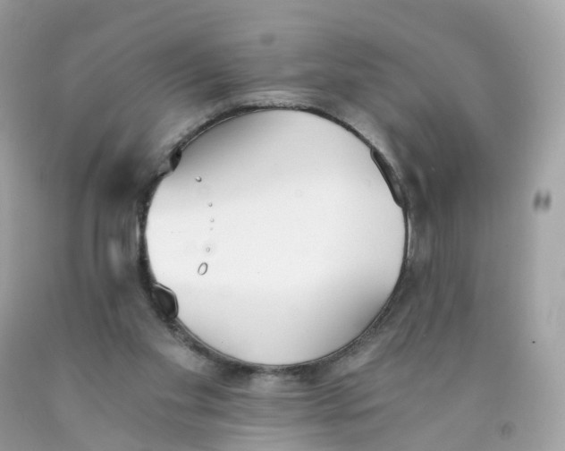 X0000089830109200707262032