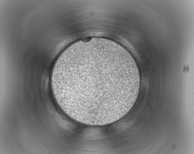 X0000089830110200707262032
