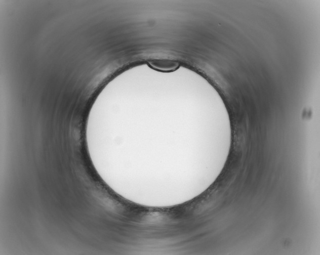 X0000089830111200707262032