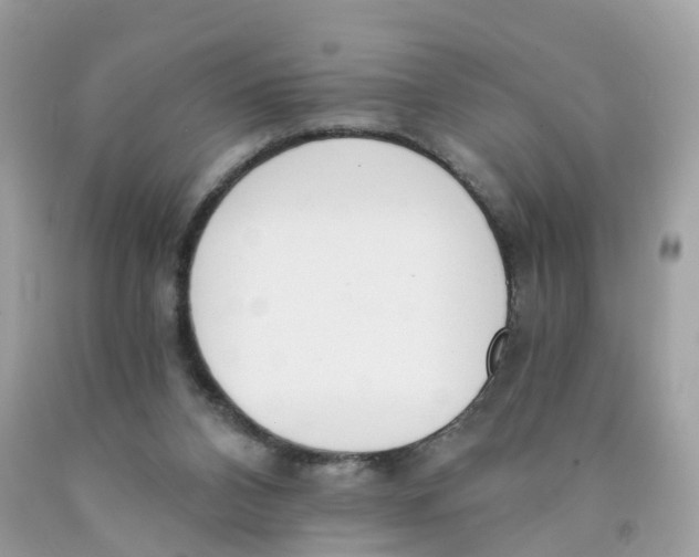X0000089830112200707262032