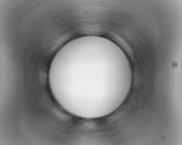 X0000089830113200707262032