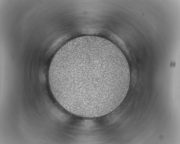 X0000089830114200707262032