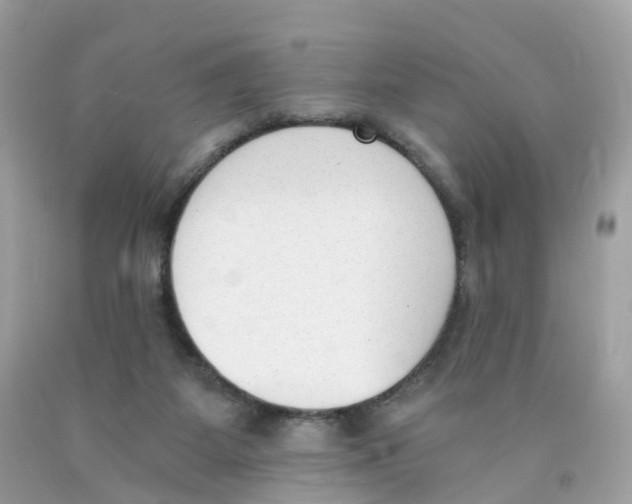 X0000089830115200707262032