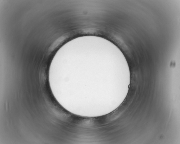 X0000089830116200707262032