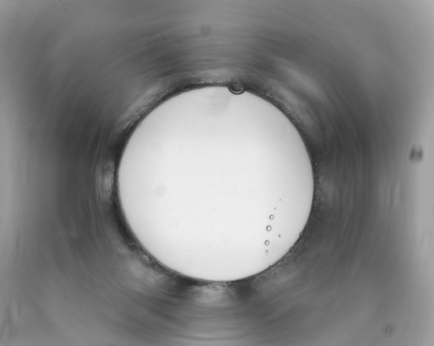 X0000089830118200707262032