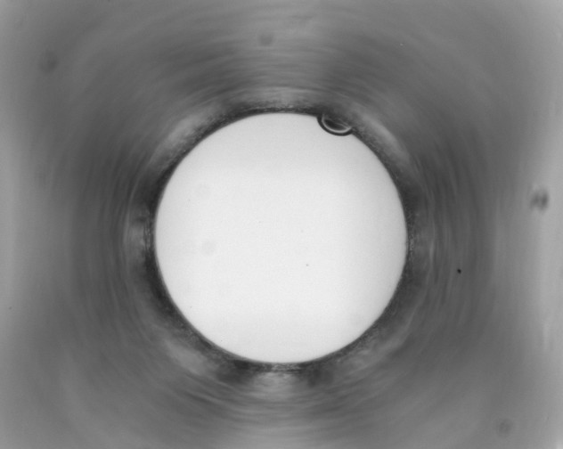 X0000089830119200707262032
