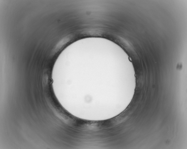 X0000089830120200707262032