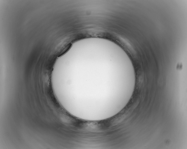 X0000089830121200707262032