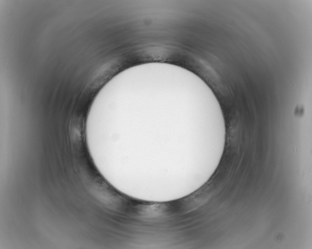 X0000089830122200707262032