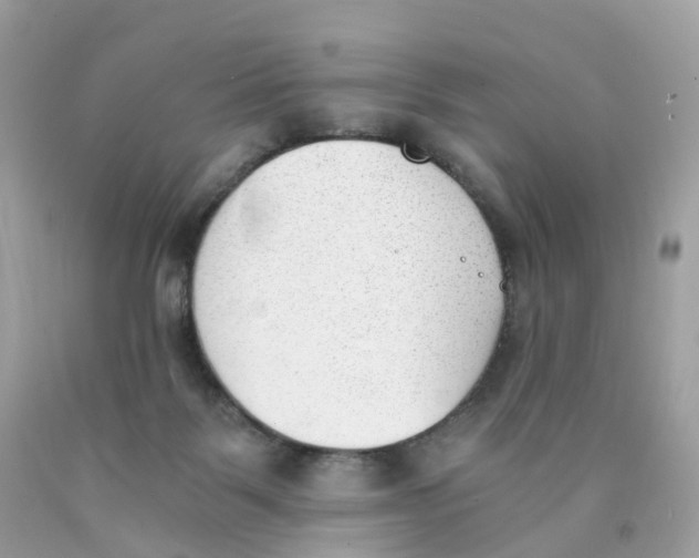 X0000089830123200707262032