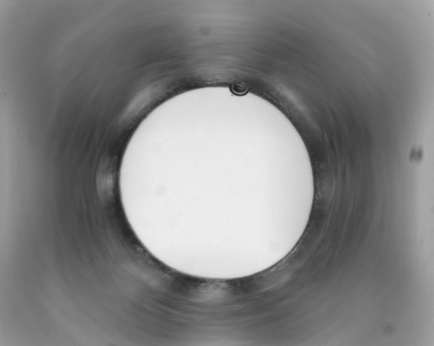 X0000089830124200707262032