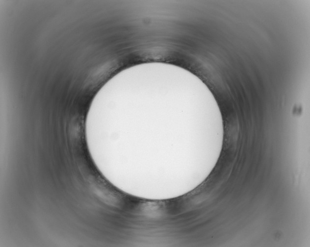 X0000089830126200707262032
