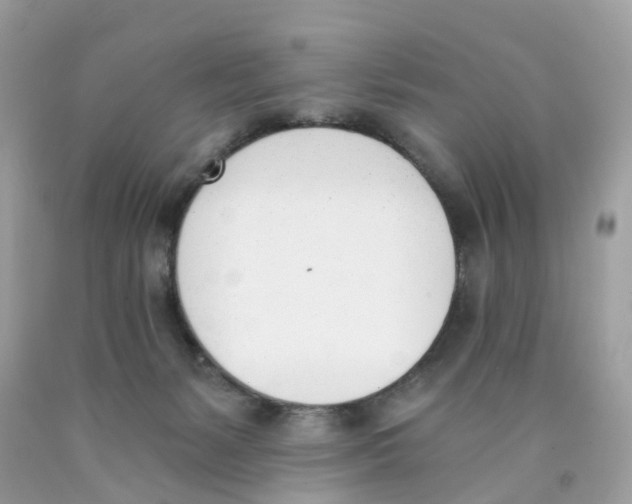 X0000089830127200707262032