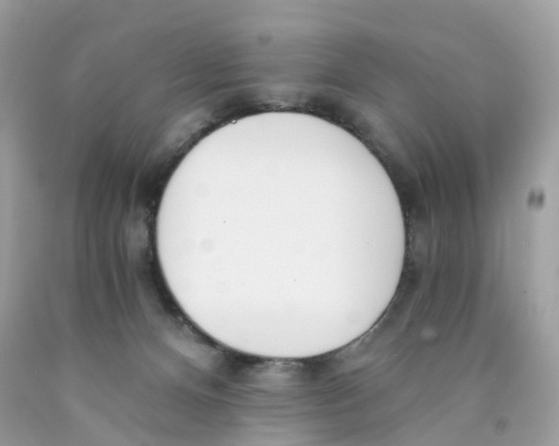 X0000089830128200707262032