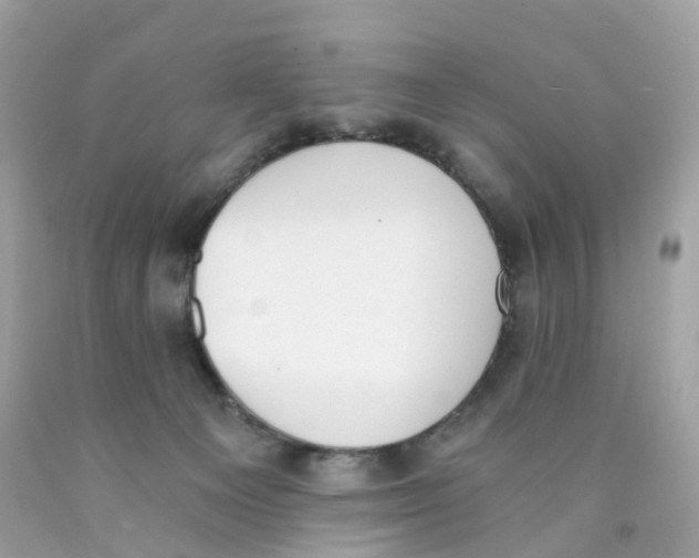 X0000089830129200707262032