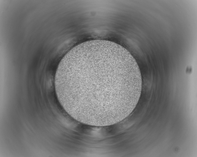 X0000089830130200707262032