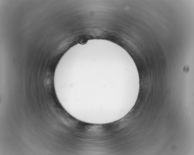 X0000089830132200707262032