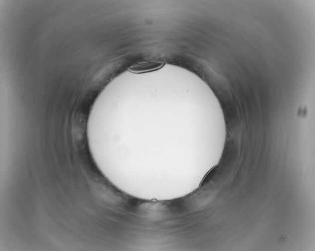 X0000089830133200707262032