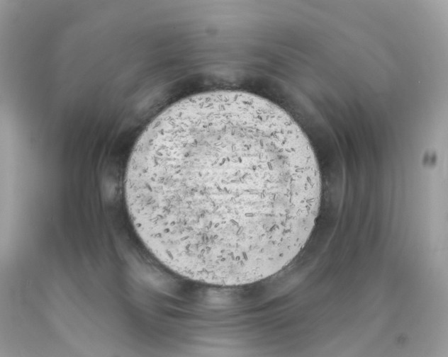 X0000089830134200707262032