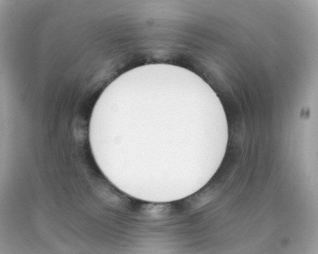 X0000089830135200707262032