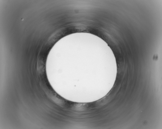X0000089830136200707262032