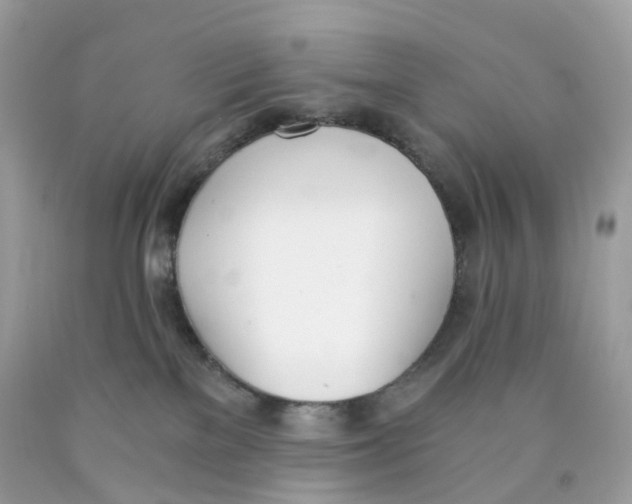 X0000089830137200707262032