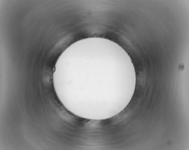 X0000089830138200707262032