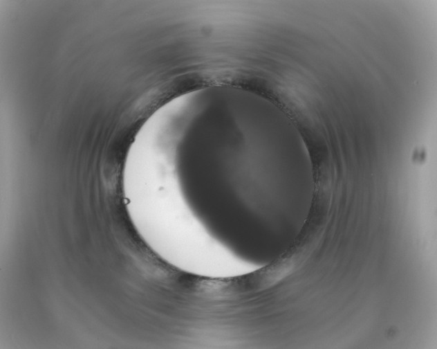 X0000089830139200707262032