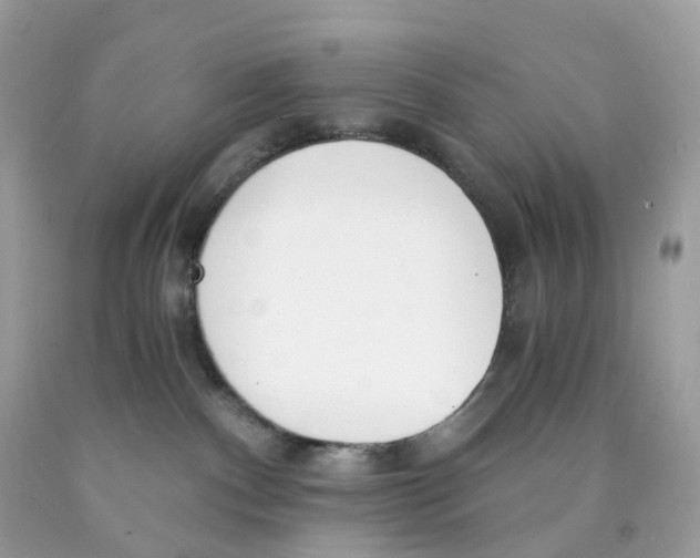 X0000089830140200707262032