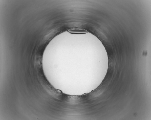 X0000089830141200707262032