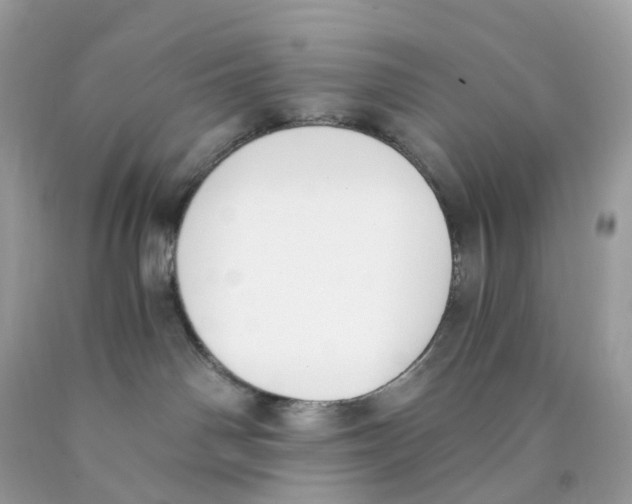 X0000089830142200707262032