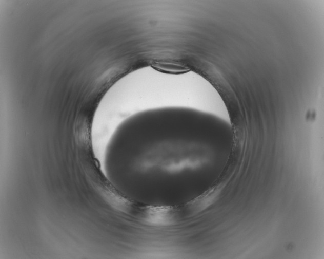 X0000089830143200707262032