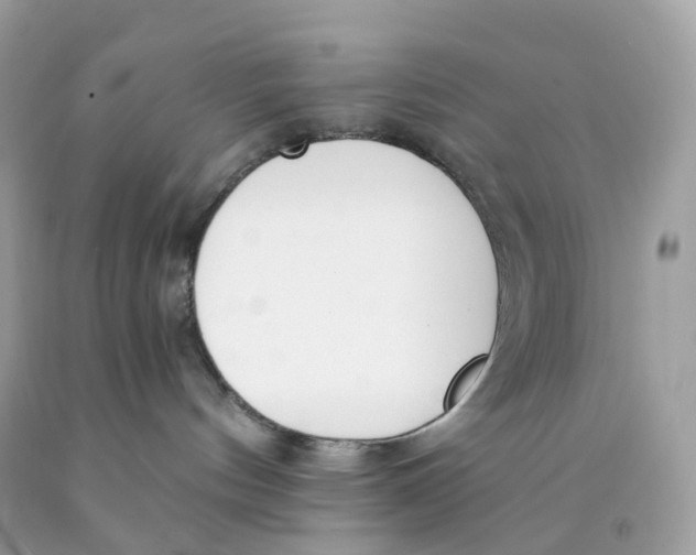 X0000089830144200707262032