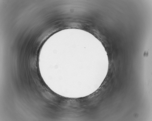 X0000089830146200707262031