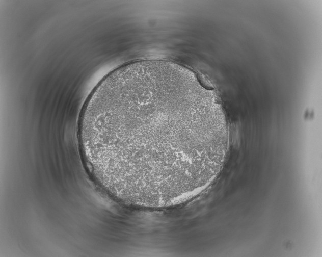 X0000089830147200707262031