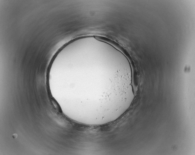 X0000089830148200707262031