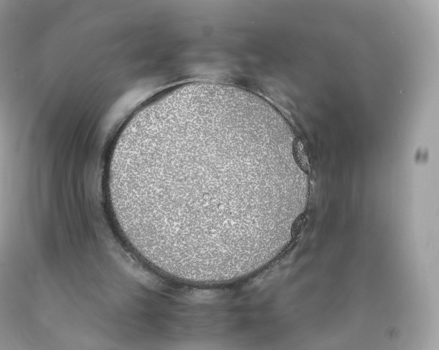 X0000089830149200707262031