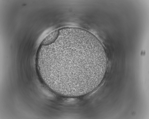 X0000089830151200707262031