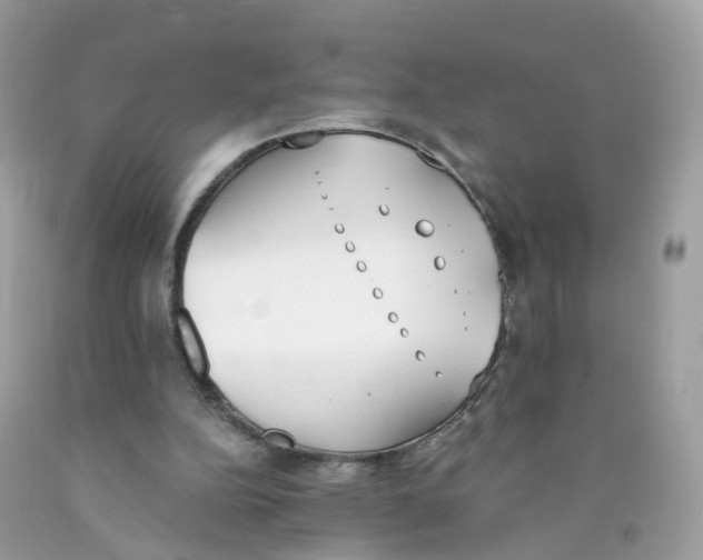 X0000089830152200707262031