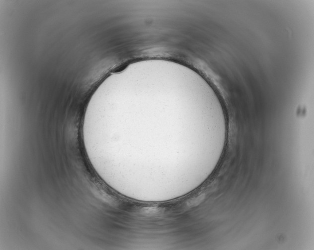 X0000089830153200707262031